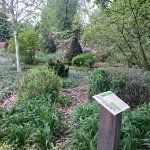 Arboretum 2016